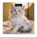 Cute Kitten Weight ScaleClear LED Display Bathroom Digital Weighing ScaleTempered Glass Digital Bathroom Scale for Body Weight Capacity Up to 400 Lbs