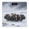 Musk Ox in The Snow Weight Scale Large Digital Bathroom Scales with Bright LED Display Non Slip Digital Scale and Step On Fashion Weighing Machine for Body