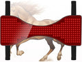 Red Light Therapy for Horse Full BodyRed Light Therapy BeltInternal Battery USB Rechargeable Red Lightfor Body Back Shoulder Waist Muscle Pain Relief
