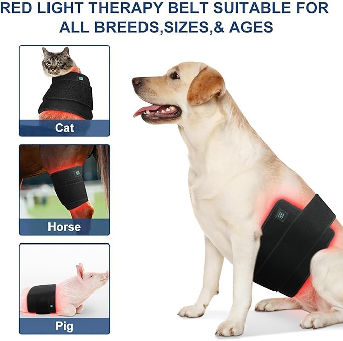 Horses Red LED Light Therapy Device 660nm 850nm Red Infrared Belt Portable Wearable Deep Light Therapy Wounds and cuts Joint Pain Relief for Horse Dog Cat Pig