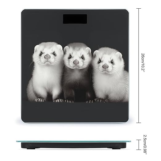 Ferrets Bathroom Scale for Body Weight Bathroom Digital Electronic Weighing Scale with Back Lit LED Display Sturdy Tempered Glass Weight Watchers Scales 400lb