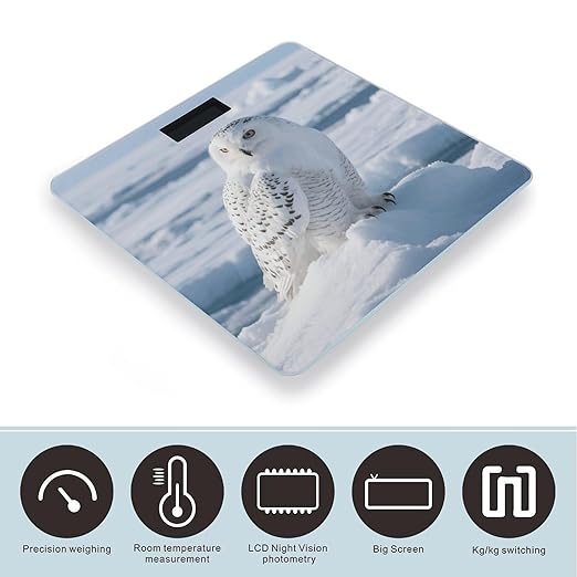 Snowy Owl on The Ice Weight Scale Cute Bathroom Scale for Body Highly Accurate Digital Weighing Machine for People Compact LCD Display Scales with Sturdy Toughened Glass Scales