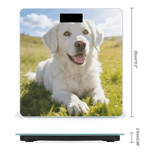 Milch Smart Scale for Body Weight Digital Bathroom Scale Toughened Glass Weight Scale with Large LCD Backlight Display High Precision Scales Weighing Machine