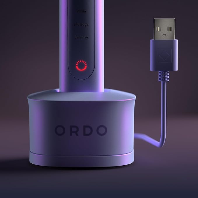 ORDO Sonic+ Electric Toothbrush with Case Sonic Toothbrushes for Adults Charging Travel Case 4 Brushing Modes Fast Rechargeable Battery Silicone Polishing USB Charger Pearl Violet