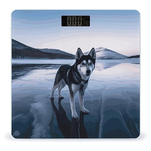 Digital Bathroom Scale for Body Weight Scale with Bright LCD Display High Accuracy Step-On Technology Auto On/Off Husky Dog on A Frozen Lake Digital Scales 400 Lbs /180kg