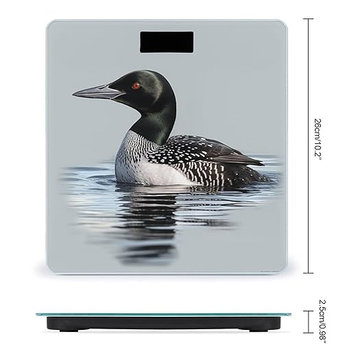 Digital Bathroom Scale for Body Weight Scale with Bright LCD Display High Accuracy Step-On Technology Auto On/Off Loon Nature Bird Digital Scales 400 Lbs /180kg