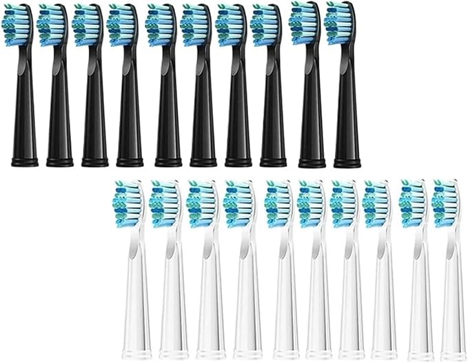 Tooth Brush HeadCompatible for Seago-507B/908/909/917/610/659/719/910/575/551/548 Electric Toothbrush(10pcs White)