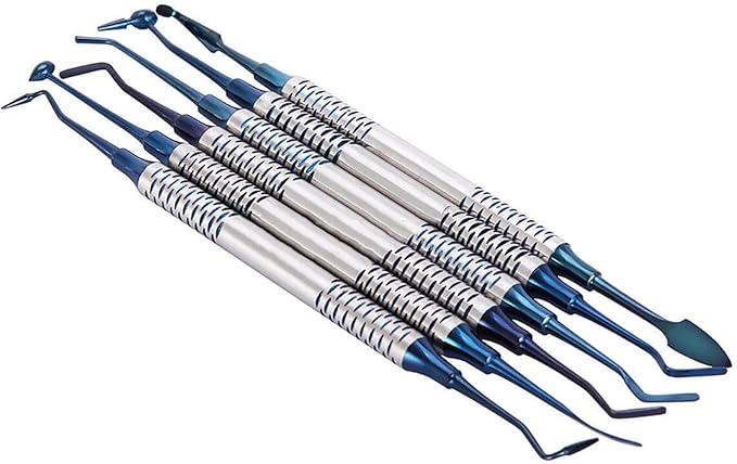 6PCS Dental Tools KitsDental Oral Hygiene Tool KitTooth Pick Stainless Steel Hygiene Dentist Set for Home &amp Oral Use