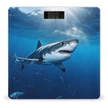 Ocean Sea Animal SharkScale for Body Weight with LCD High Precision Weighing Scales Fashion Sturdy Tempered Glass Weight Scales Easy-to-Read Digital Bathroom Scale for Daily 400lb