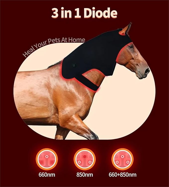 Red Light Therapy for Horses Head 660nm 850nm Wearable Near Infrared Light Cap Rechargeable 15 mins Timer for Equine Head Pain Relief M