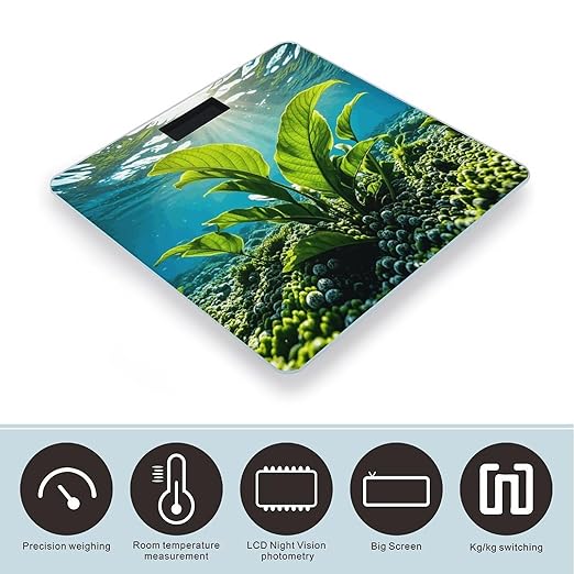 Green Sea Blue Seaweed Scale for Body Weight Digital Bathroom Scale Toughened Glass High Precision Scales for Body Weight with Large LCD Backlight Display Weight Scales