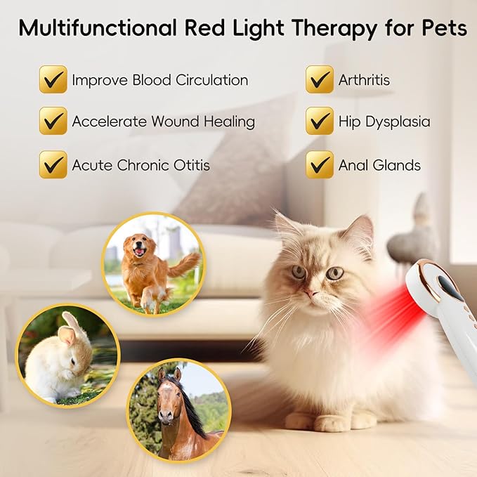 4x808nm+12x650nm 3500mAh Battery 4Hz pulsed Near Infrared Red Light Therapy Treatment for Body Pain Relief Handheld Cold Light Therapy Device for Dogs Cats Horse Pets