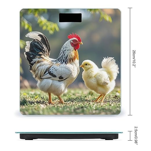 Chicken on The Grass Smart Scale for Body Weight Accurate Bathroom Scale with LED Display Digital Weight Scales Weighing Machine High Precision Scales for Bath Home