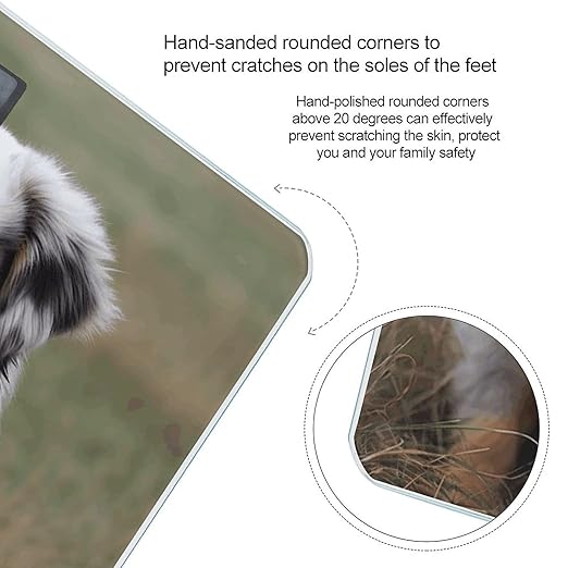 Australian Shepherd Bathroom Scale Automatic Power On/Off Body Scales LCD Backlight Display Square Digital Scale Rounded Corners Bathroom Scales for Home Bedrooms