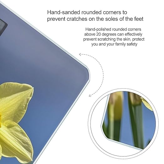 Yellow Daffodils Flowers Bathroom Scale for Body Weight with High Precision Large LCD Backlight Display Digital Weighing Scale with BMI Capacity Up to 180kg