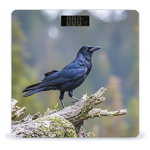 Black Crow Birds Bathroom Scale for Body Weight with High Precision Large LCD Backlight Display Digital Weighing Scale with BMI Capacity Up to 180kg