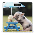 Pigs Eating Ice Cream Scale for Body Weight Anti-Slip Sturdy Tempered Glass Weighing Machine Highly Digital Accurate Bright LCD Bathroom Scale for Household Gift