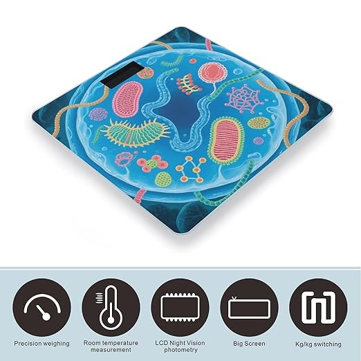 Biological Cell Structure Scale for Body Weight Sturdy Tempered Glass Weighing Scales with LCD Display Accurate Digital Bathroom Scale Convenient Body Fat Smart Scales Easy Read