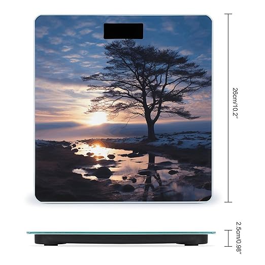Tree Branch Silhouette at Dusk Scale for Body Weight Anti-Slip Tempered Glass Digital Bathroom Scales Clear LCD Display Weighing Scale Safe Rounded Corners Smart Scales