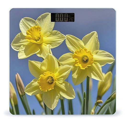 Yellow Daffodils Flowers Bathroom Scale for Body Weight with High Precision Large LCD Backlight Display Digital Weighing Scale with BMI Capacity Up to 180kg