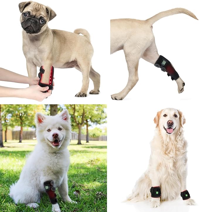 Red Light Therapy Leg Guards for Dogs - Wearable Canine Wrap for Indoor Use - Ideal for Small Dogs and Cats