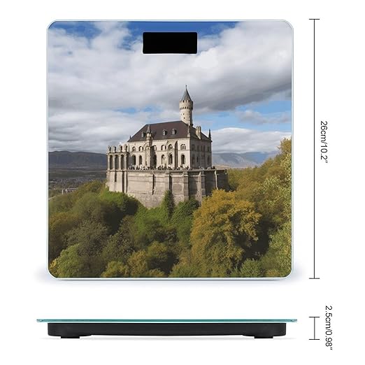 Historical Monuments of Armenia Bathroom Scale for Body Weight Bathroom Weighing Scale with Backlit LCD Display Highly Accurate Measures Weight Up to 180kg