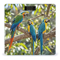 Colorful Parrots On Tree Scale for Body Weight Digital Bathroom Scale Toughened Glass High Precision Scales for Body Weight with Large LCD Backlight Display Weight Scales
