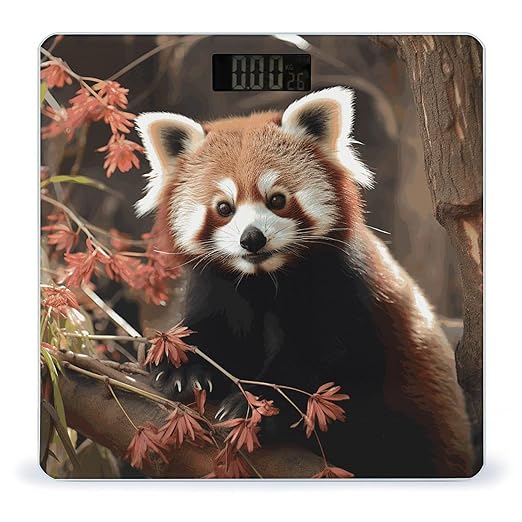 Red Pandas Bathroom Scale Automatic Power On/Off Body Scales LCD Backlight Display Square Digital Scale Rounded Corners Bathroom Scales for Home Bedrooms