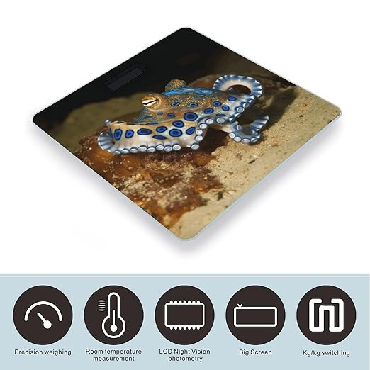 Blue Ring Octopus Scale for Body Weight Safe Rounded Corners Tempered Glass Digital Bathroom Scale LED Display 400lb Capacity Weight Scales with High Precision Sensors