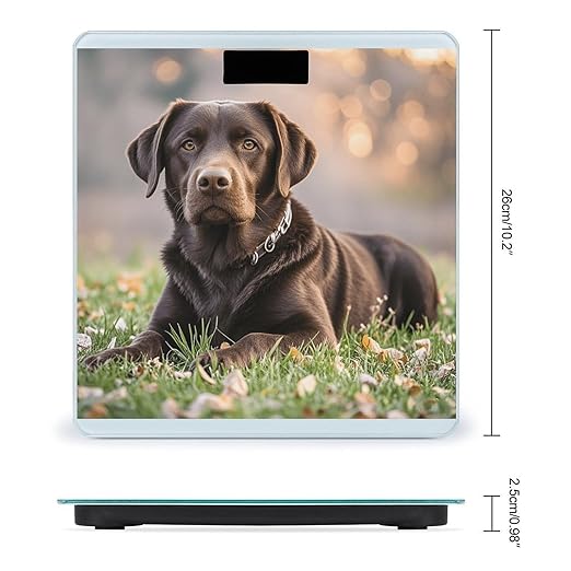 Brown Labrador Retriever Scale for Body Weight Highly Accurate Digital Bathroom Scale Sturdy Tempered Glass Weighing Scales with LCD Display Fashion Body Fat Smart Scales 400lb