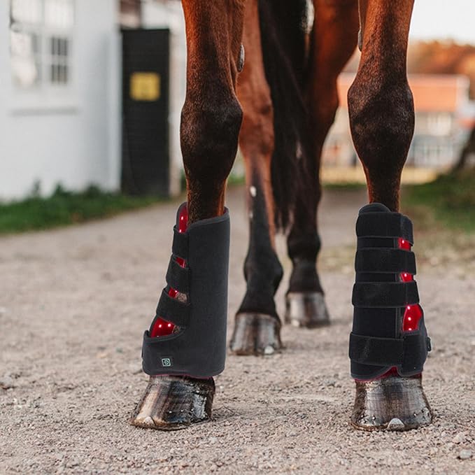 Red Light Therapy for Horses Red Light Horse Leg Therapeutic Instrument 850nm Infrared ＆ 660nm Pet Horse Leg Physiotherapy