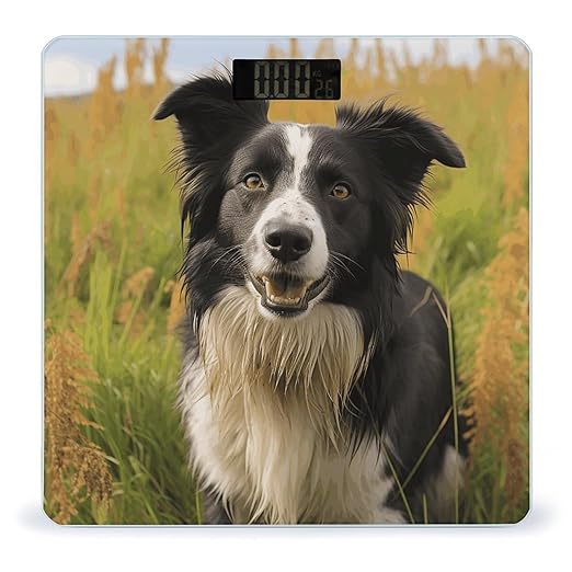 Mohado Border Collie Dog Bathroom Scale Rounded Smart Scale for Body Weight Automatic Power On/Off Weight Scales Accurate Bathroom Digital Scales for Pet Home Bedroom Kitchen