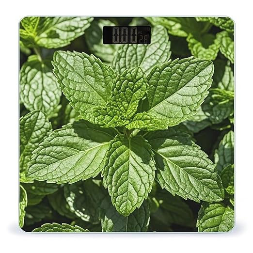 Peppermint Scale for Body Weight Smart Scales Digital Bathroom Scale High Precision Weighing Scales with Large Display Weighing Machine for People