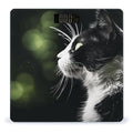 Digital Bathroom Scale for Body Weight Scale with Bright LCD Display High Accuracy Step-On Technology Auto On/Off A Black and White Cat Digital Scales 400 Lbs /180kg