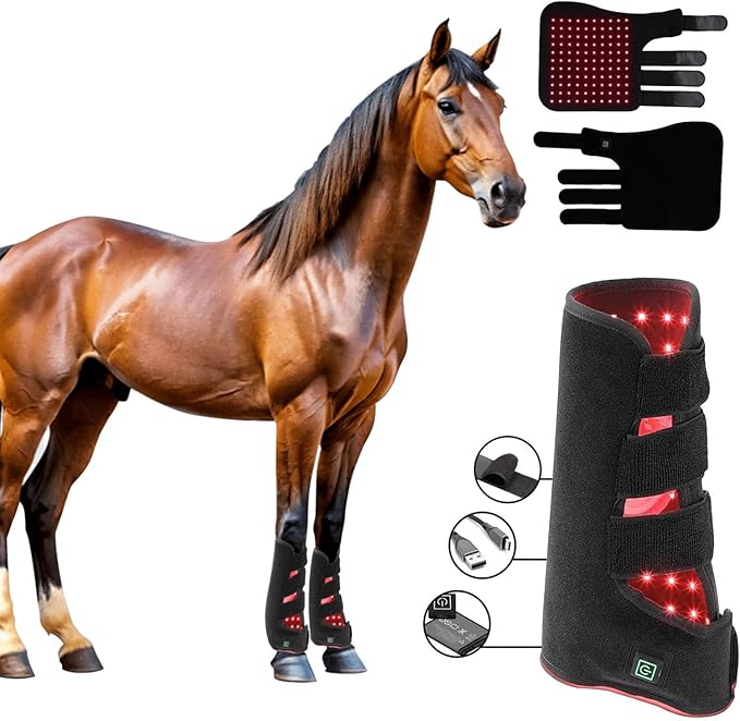 Red Light Therapy for Horses Red Light Horse Leg Therapeutic Instrument 850nm Infrared ＆ 660nm Pet Horse Leg Physiotherapy