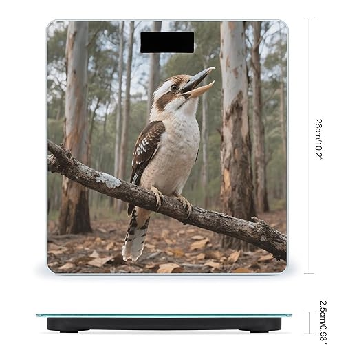 Gray Bird Bathroom Scale for Body Weight LCD Display Digital Bathroom Scale Tempered Glass Bathroom Weight Scales Fashion Smart Scales for Home Bedroom 400 Lb