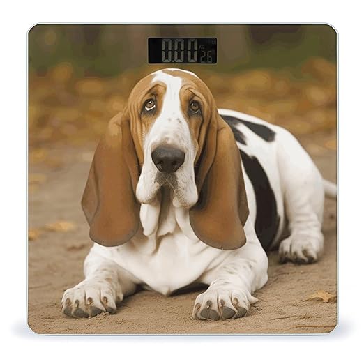 Basset Hound Scale for Body Weight Safe Rounded Corners Tempered Glass Digital Bathroom Scale LED Display 400lb Capacity Weight Scales with High Precision Sensors
