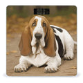 Basset Hound Scale for Body Weight Safe Rounded Corners Tempered Glass Digital Bathroom Scale LED Display 400lb Capacity Weight Scales with High Precision Sensors