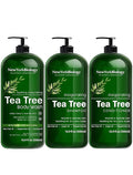 New York Biology Tea Tree Body Wash with Tea Tree Shampoo and Conditioner Set – Helps Itchy Skin Conditions &amp Body Odor - Deep Cleanser – Relief for Dandruff and Itchy Scalp – 16.9 fl. Oz