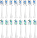 4-16pcs Toothbrush Replacement HeadsCompatible for PH Replacement Heads Electric Brush Head for 4100 5100 6100 9023(8Green 8Blue)