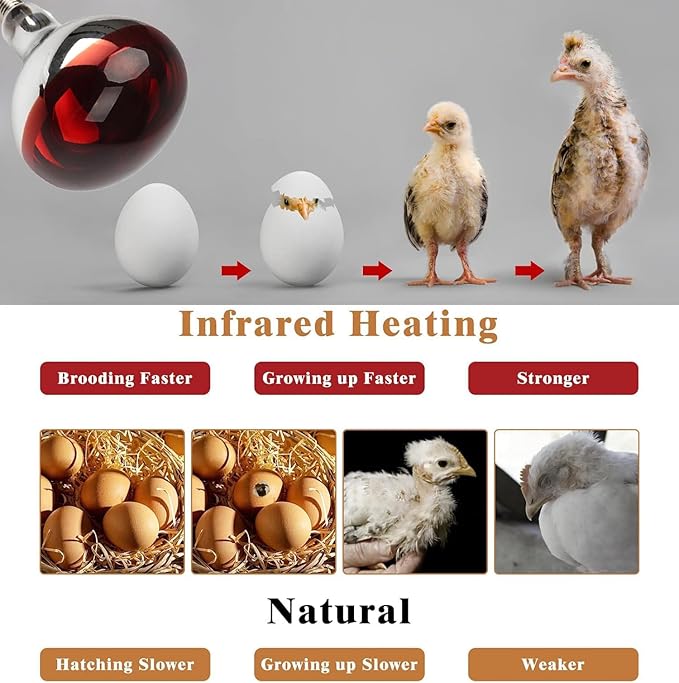 4 Pack 275W Infrared Heat Bulbs for Chickens Infrared Red Heat Lamp for Food Service Brooder Bulb Chicks Reptiles Pet Bathroom Sauna Heat Bulb E26 Base Infrared Red Light Therapy Bulbs