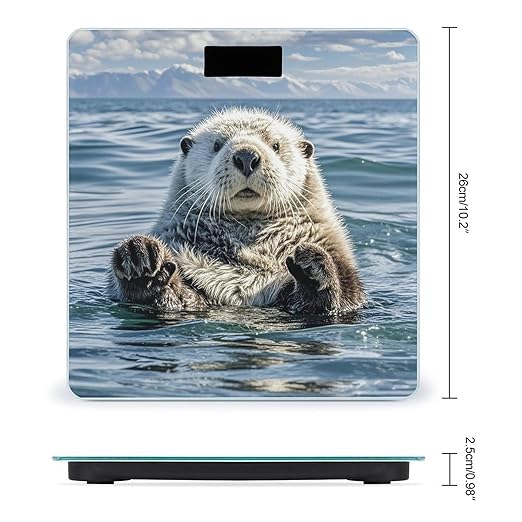 Sea Otter Smart Scale for Body Weight Accurate Bathroom Scale with LED Display Digital Weight Scales Weighing Machine High Precision Scales for Bath Home