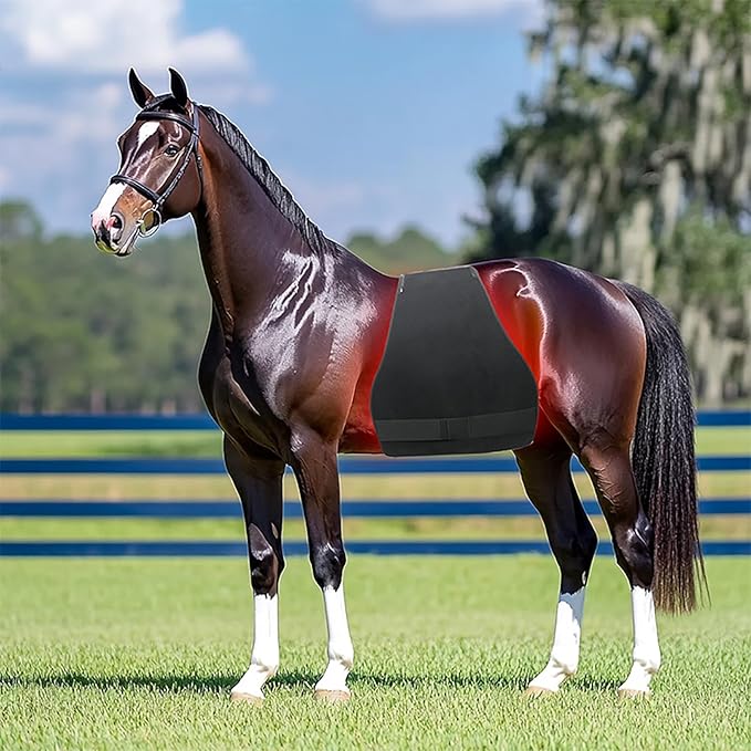 Red Light Therapy Device for Horse Full Body 660nm 850nm Near Infrared Therapy Wrap 15mins Timer for Equine Back Abdomen Buttocks Front Legs and Hind Legs Pain Relief