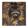 Raccoon in The Fall Tree Hole Digital Bathroom Scale for Body Weight Weighing Scale with Backlit LCD Display High Precision Measurements &amp Measures Weight Up to 180kg