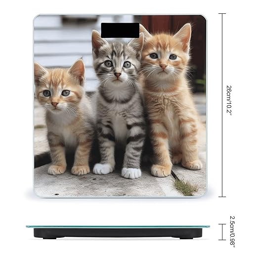 Kittens Family Cats Digital Bathroom Scale for Body Weight Weighing Scale with Backlit LCD Display High Precision Measurements &amp Measures Weight Up to 180kg