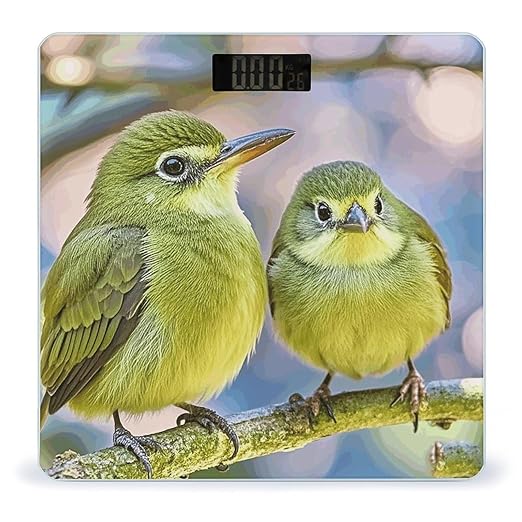 Cute Kiwi Birds Weight Scale Large Digital Bathroom Scales with Bright LED Display Non Slip Digital Scale and Step On Fashion Weighing Machine for Body