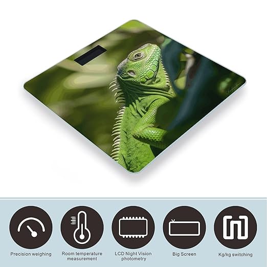 Green Lizard Weight ScaleClear LED Display Bathroom Digital Weighing ScaleTempered Glass Digital Bathroom Scale for Body Weight Capacity Up to 400 Lbs