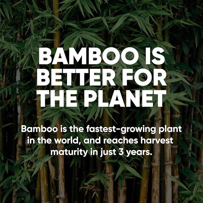 Save Trees Bamboo Toilet Paper - 12 Rolls Of Organic Toilet Paper 3-ply 300 Sheets Per Roll - PFAS Free FSC Certified Plastic Free Vegan &amp Chemical Free Bamboo TP
