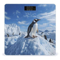Snow Mountain Penguin Bathroom Scale Rounded Smart Scale for Body Weight Automatic Power On/Off Weight Scales Accurate Bathroom Digital Scales for Pet Home Bedroom Kitchen