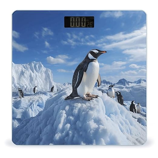 Snow Mountain Penguin Bathroom Scale Rounded Smart Scale for Body Weight Automatic Power On/Off Weight Scales Accurate Bathroom Digital Scales for Pet Home Bedroom Kitchen